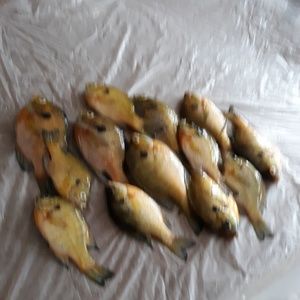 Meet your Posher, Cleveland